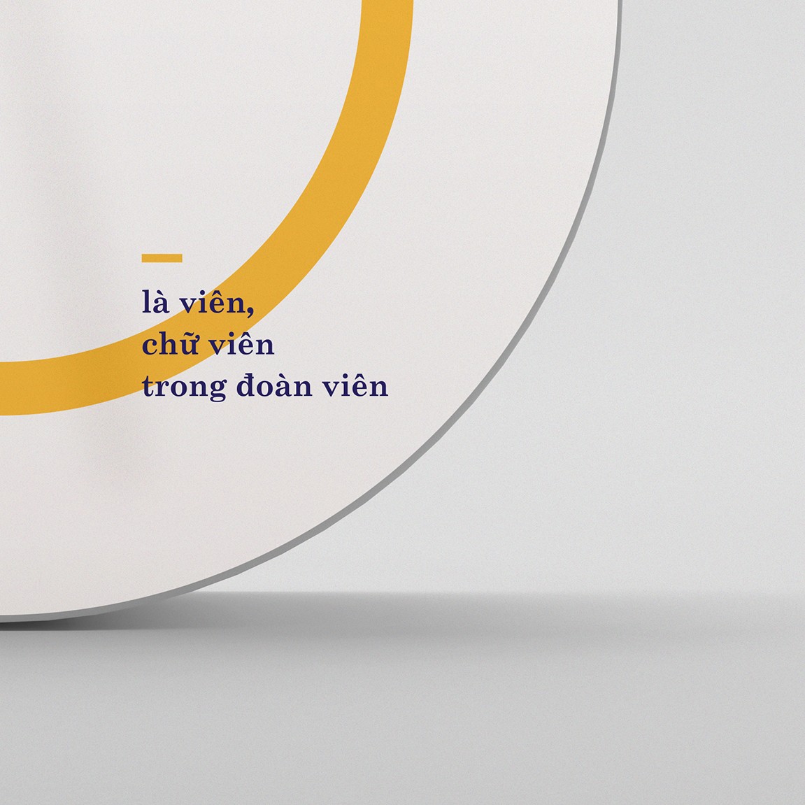 越南月饼包装设计欣赏-外国人是怎么设计月饼包(图9)