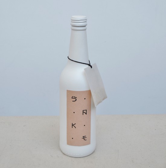 地方特产白酒米酒包装设计参考(图16)