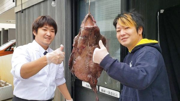 30种日本特产包装设计参考(图5) 30种日本特产包装设计参考(图5)