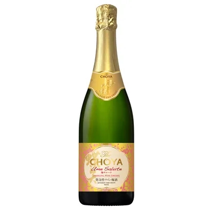 烟台果酒包装设计参考(图4)