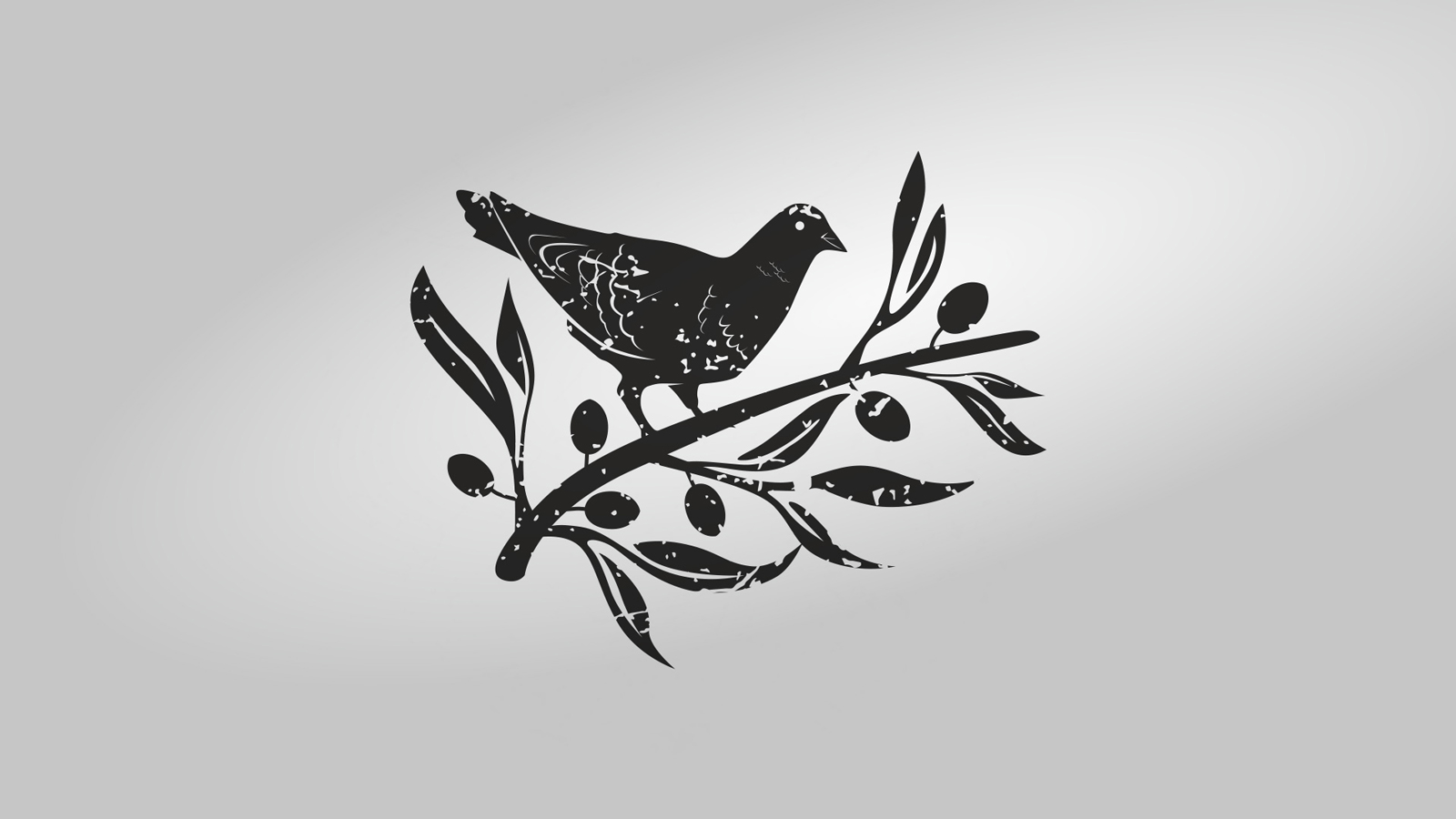 Elasion橄榄油创新包装设计(图3)