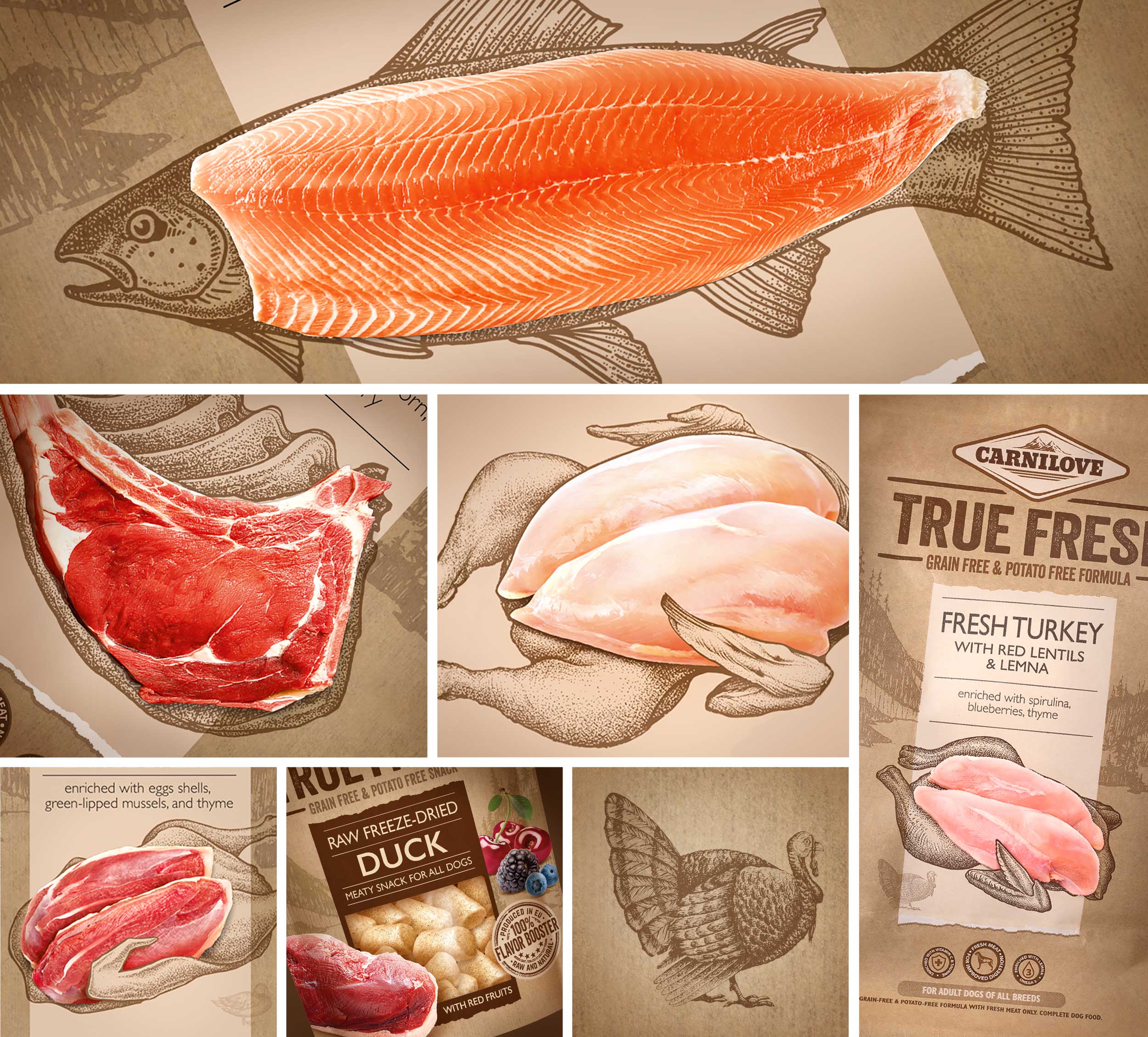 Carnilove TRUE FRESH品牌系列生冻干食品包装设计(图4)