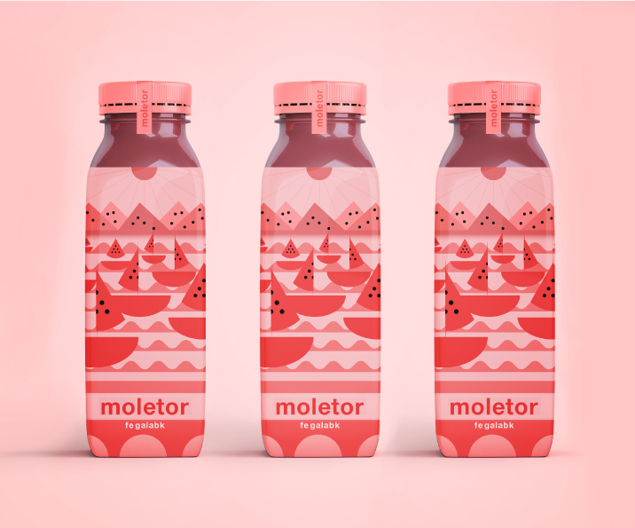 越南Moltor天然果汁饮料系列包装设计(图3)