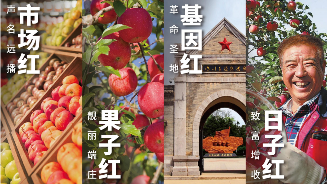 四喜：揭开品牌卖货的核心秘密(图19)