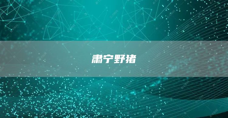 肃宁野猪(图1)