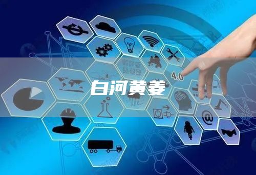 白河黄姜(图1)
