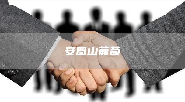 安图山葡萄(图1)