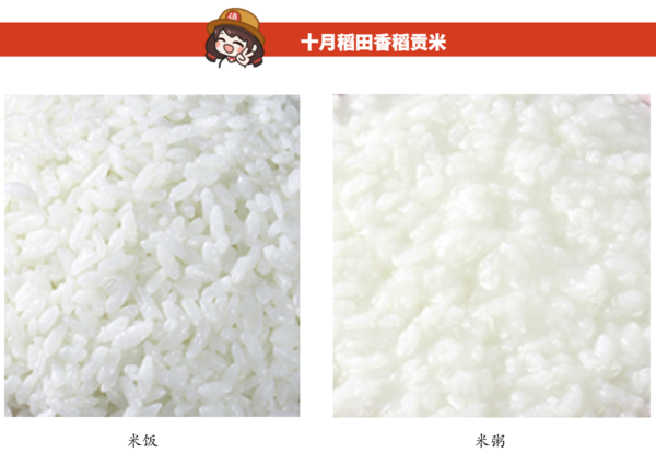 SHI YUE DAO TIAN 十月稻田 香稻贡米 5kg包装设计欣赏 (图3)