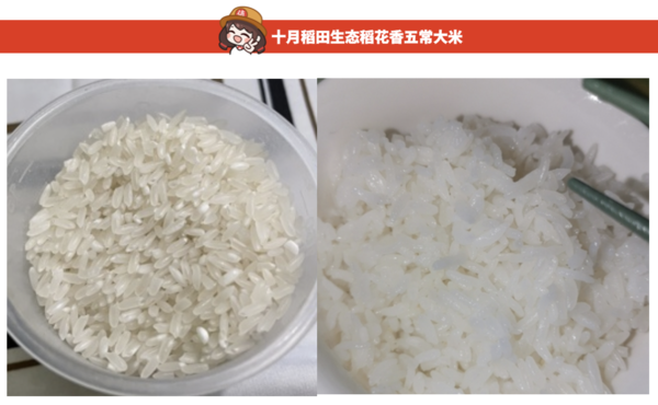 SHI YUE DAO TIAN 十月稻田 五常大米 5kg包装设计欣赏 (图2)
