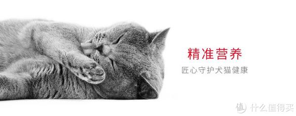 【皇家/ROYAL CANIN品牌故事】皇家/ROYAL CANIN品牌介绍品牌logo设计欣赏(图1)