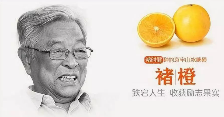 图片17.png