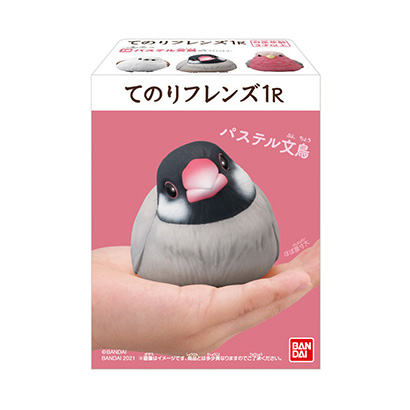 彩色软胶娃娃口香糖一套(图1) 彩色软胶娃娃口香糖一套(图1)