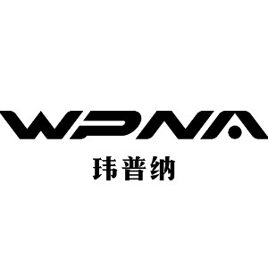 玮普纳品牌logo设计欣赏与分析(图1)
