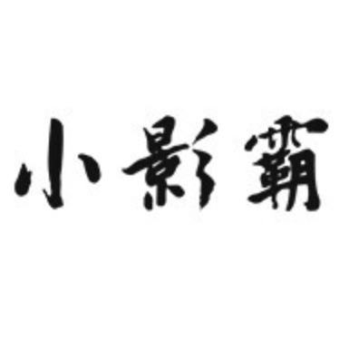 小影霸品牌logo设计欣赏与分析(图1)