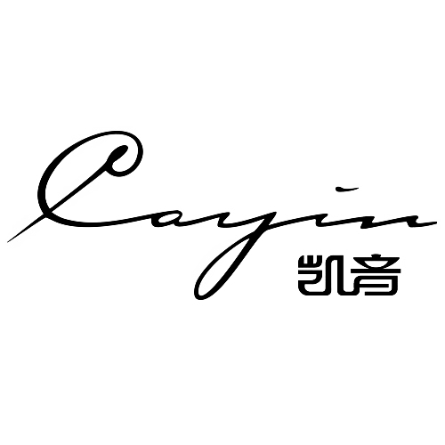 凯音品牌logo设计欣赏与分析(图1)