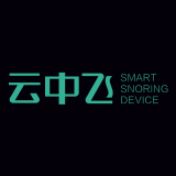 云中飞品牌logo设计欣赏与分析(图2)