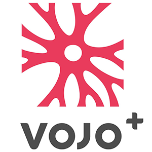 顽卓品牌logo设计欣赏与分析(图1)