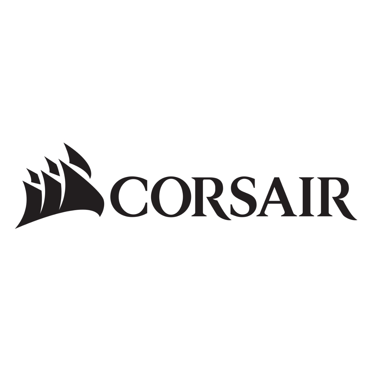 美商海盗船品牌logo设计欣赏与分析(图1)