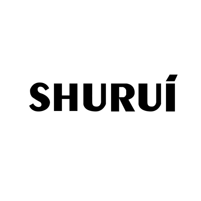 数锐品牌logo设计欣赏与分析(图1)