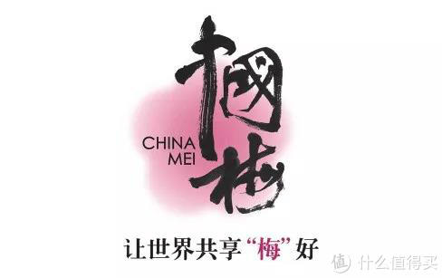 溜溜梅品牌故事-logo设计分析(图1)