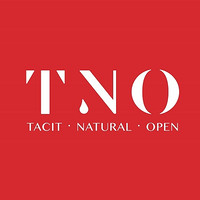 TNO品牌故事-logo设计分析(图1)