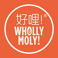 好哩！品牌故事-logo设计分析(图1)