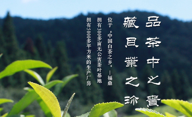 品贝品牌logo与产品包装设计欣赏(图2)
