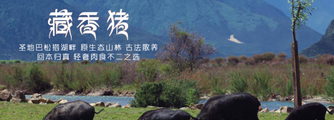 雏牧香品牌logo与产品包装设计欣赏(图3)