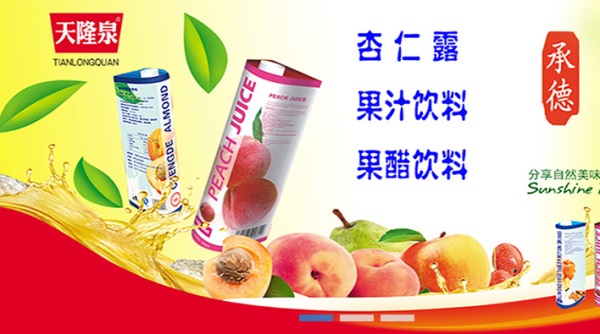 天隆泉品牌logo与产品包装设计欣赏(图4)
