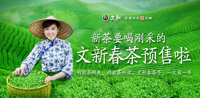 信阳毛尖品牌logo与产品包装设计欣赏(图2)