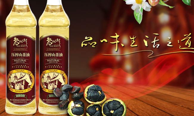 老树根品牌logo与产品包装设计欣赏(图2)