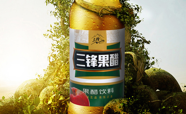 三锋品牌logo与食品包装设计欣赏(图4)