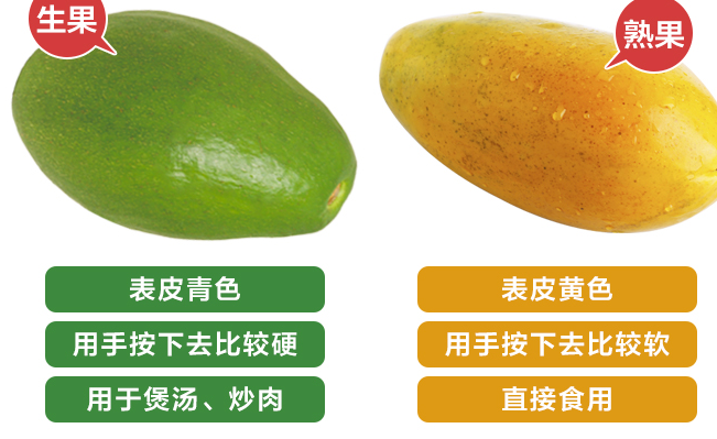 JOYTREE欢乐果园品牌logo与食品包装设计欣赏(图3)