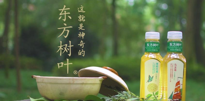 东方树叶品牌logo与食品包装设计欣赏(图3)