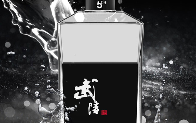 武陵品牌logo与食品包装设计欣赏(图2)