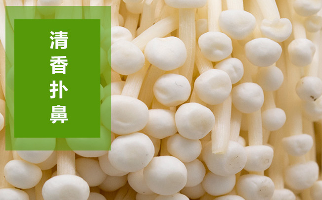 DongSheng东升品牌logo与食品包装设计欣赏(图3)