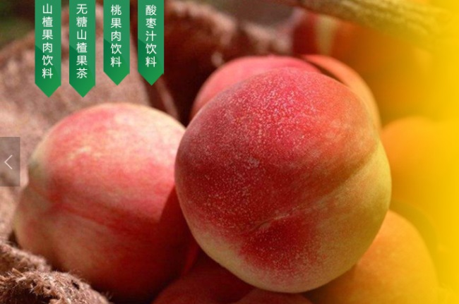 青松岭品牌logo与食品包装设计欣赏(图4)