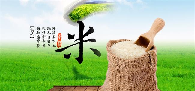 益华米业品牌logo与食品包装设计欣赏(图2)