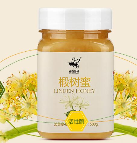 迎春黑蜂品牌logo与食品包装设计欣赏(图2)