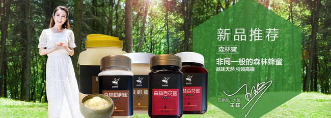 迎春黑蜂品牌logo与食品包装设计欣赏(图3)
