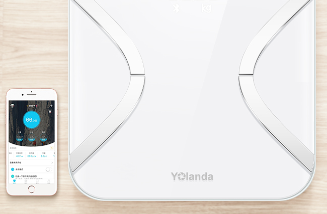 Yolanda云康宝品牌logo与食品包装设计欣赏(图2)