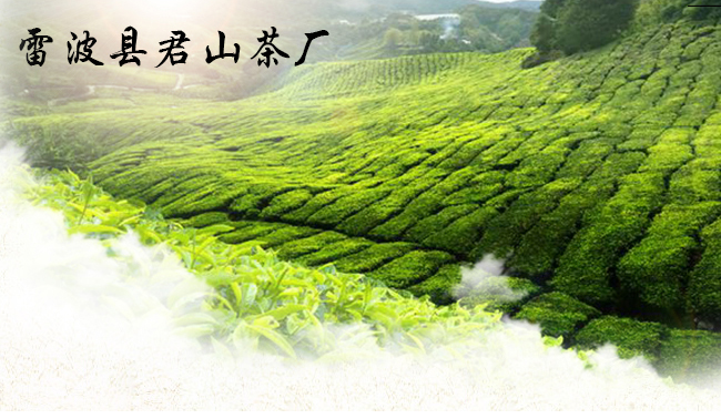 黄琅雪芽品牌logo与食品包装设计欣赏(图3)