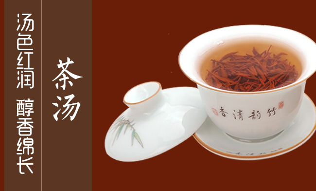 黄琅雪芽品牌logo与食品包装设计欣赏(图4)