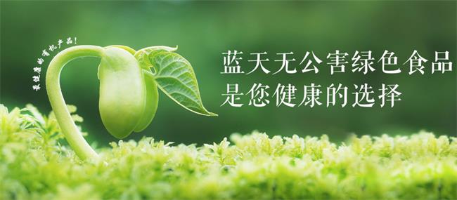 蓝天果蔬品牌logo与食品包装设计欣赏(图3)