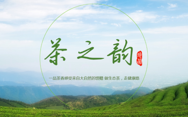 曾老七品牌logo与食品包装设计欣赏(图4)