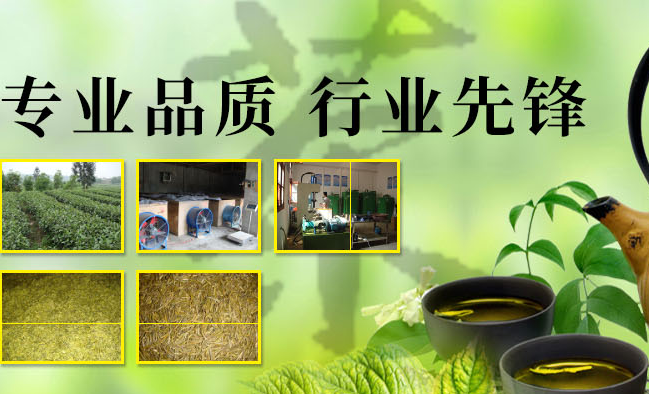 嘉典水品牌logo与食品包装设计欣赏(图3)