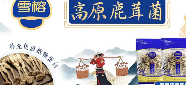 雪榕品牌logo与食品包装设计欣赏(图2)