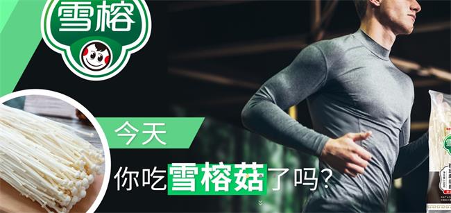 雪榕品牌logo与食品包装设计欣赏(图3)