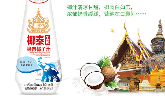 椰泰品牌logo与食品包装设计欣赏(图2)
