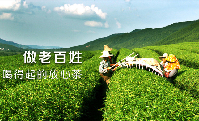 苏福茶业品牌logo与食品包装设计欣赏(图3)